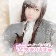 ヒメ日記 2025/02/12 16:50 投稿 はる シャングリラ 呉〜桃源郷〜