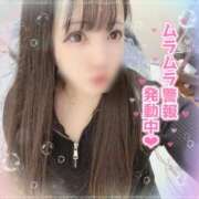 ヒメ日記 2025/02/24 03:19 投稿 はる シャングリラ 呉〜桃源郷〜