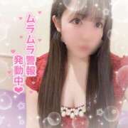 ヒメ日記 2025/04/07 11:50 投稿 はる シャングリラ 呉〜桃源郷〜