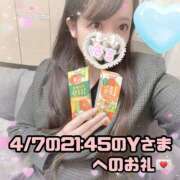 ヒメ日記 2025/04/07 23:47 投稿 はる シャングリラ 呉〜桃源郷〜