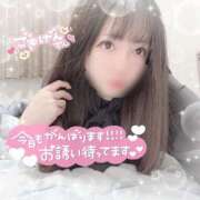 ヒメ日記 2025/04/08 11:54 投稿 はる シャングリラ 呉〜桃源郷〜