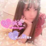 ヒメ日記 2025/09/15 19:10 投稿 はる シャングリラ 呉〜桃源郷〜