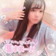 ヒメ日記 2025/10/24 18:03 投稿 はる シャングリラ 呉〜桃源郷〜