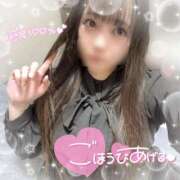 ヒメ日記 2025/02/24 18:18 投稿 はる シャングリラ東広島～桃源郷～