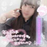 ヒメ日記 2025/11/12 17:27 投稿 はる シャングリラ東広島～桃源郷～