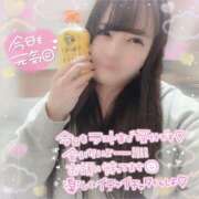 ヒメ日記 2025/11/21 11:52 投稿 はる シャングリラ東広島～桃源郷～