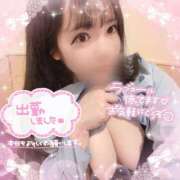 ヒメ日記 2026/04/01 12:18 投稿 はる シャングリラ東広島～桃源郷～