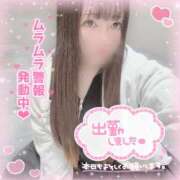 ヒメ日記 2026/04/05 12:16 投稿 はる シャングリラ東広島～桃源郷～