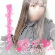 ヒメ日記 2026/04/07 15:34 投稿 はる シャングリラ東広島～桃源郷～