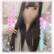 ヒメ日記 2026/04/12 21:47 投稿 はる シャングリラ東広島～桃源郷～