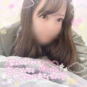 ヒメ日記 2026/04/13 12:17 投稿 はる シャングリラ東広島～桃源郷～