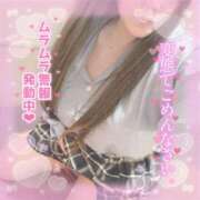 ヒメ日記 2026/04/14 16:16 投稿 はる シャングリラ東広島～桃源郷～