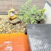 ヒメ日記 2025/05/18 21:01 投稿 かがみ 40代からのリアル鹿児島美熟女 REBORN リボン