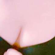 ヒメ日記 2025/06/15 15:49 投稿 かがみ 40代からのリアル鹿児島美熟女 REBORN リボン