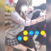 ヒメ日記 2025/02/20 01:11 投稿 うらん アラモード