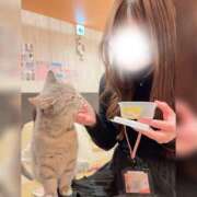 ヒメ日記 2026/03/19 10:33 投稿 うらん アラモード