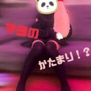 ヒメ日記 2025/03/15 12:32 投稿 愛のかたまり プロフィール天王寺