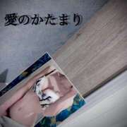 ヒメ日記 2025/04/19 12:32 投稿 愛のかたまり プロフィール天王寺