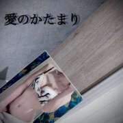 ヒメ日記 2025/02/20 12:32 投稿 愛のかたまり プロフィール 大阪店