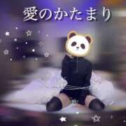 ヒメ日記 2025/03/14 12:32 投稿 愛のかたまり プロフィール 大阪店