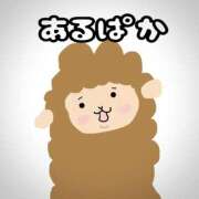 ヒメ日記 2025/05/25 22:42 投稿 愛のかたまり プロフィール 大阪店