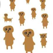 ヒメ日記 2025/10/24 17:36 投稿 愛のかたまり プロフィール 大阪店