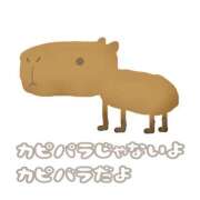 ヒメ日記 2026/02/03 12:42 投稿 愛のかたまり プロフィール 大阪店