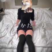 愛のかたまり 💗タゴサク構文知ってるか💗 プロフィール 大阪店