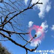 ヒメ日記 2025/02/26 12:35 投稿 くるみ ギン妻パラダイス 和歌山店