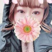 ヒメ日記 2025/03/17 13:32 投稿 くるみ ギン妻パラダイス 和歌山店