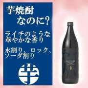 ヒメ日記 2025/06/07 08:22 投稿 くるみ ギン妻パラダイス 和歌山店