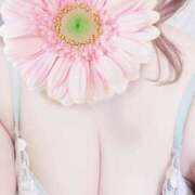 ヒメ日記 2025/07/17 17:52 投稿 くるみ ギン妻パラダイス 和歌山店