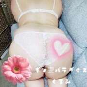 ヒメ日記 2025/09/18 14:41 投稿 くるみ ギン妻パラダイス 和歌山店