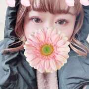 ヒメ日記 2025/11/07 09:34 投稿 くるみ ギン妻パラダイス 和歌山店