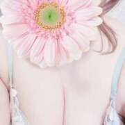 ヒメ日記 2025/11/27 09:25 投稿 くるみ ギン妻パラダイス 和歌山店