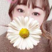 ヒメ日記 2025/12/20 09:49 投稿 くるみ ギン妻パラダイス 和歌山店