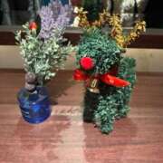 ヒメ日記 2025/12/20 11:35 投稿 くるみ ギン妻パラダイス 和歌山店