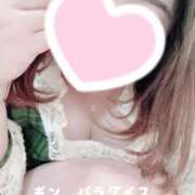 ヒメ日記 2026/02/17 13:24 投稿 くるみ ギン妻パラダイス 和歌山店