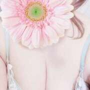 ヒメ日記 2026/03/12 14:24 投稿 くるみ ギン妻パラダイス 和歌山店