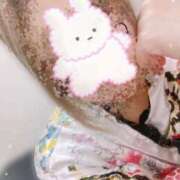 ヒメ日記 2025/03/06 07:57 投稿 しずく 三つ乱本館