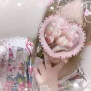 ヒメ日記 2025/03/31 20:07 投稿 しずく 三つ乱本館