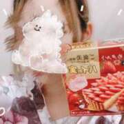 ヒメ日記 2025/04/08 12:27 投稿 しずく 三つ乱本館