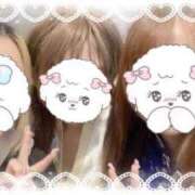 ヒメ日記 2025/06/17 08:27 投稿 しずく 三つ乱本館