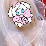 ヒメ日記 2025/06/26 06:27 投稿 しずく 三つ乱本館