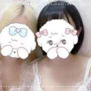 ヒメ日記 2025/06/26 16:47 投稿 しずく 三つ乱本館