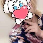 ヒメ日記 2025/07/26 10:17 投稿 しずく 三つ乱本館