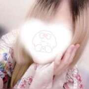 ヒメ日記 2026/06/08 06:28 投稿 しずく 三つ乱本館