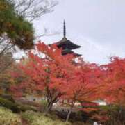 のびる 紅葉狩り 熟女の風俗最終章 仙台店