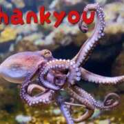 ヒメ日記 2025/03/05 07:50 投稿 のびる 熟女の風俗最終章 仙台店