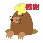 ヒメ日記 2025/03/12 20:44 投稿 のびる 熟女の風俗最終章 仙台店